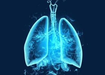 Lung drawing - Stock Image