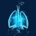 Lung drawing - Stock Image