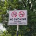 Why Governments Are Against Vaping?