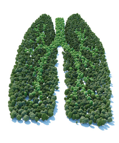 30 Reasons Why You Should Quit Smoking and Start Vaping - Save your lungs
