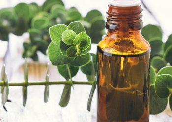 Vaping Eucalyptus Helps Cold and Flu