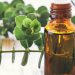 Vaping Eucalyptus Helps Cold and Flu